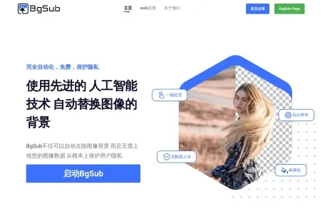 BgSub网页截图,BgSub网页快照