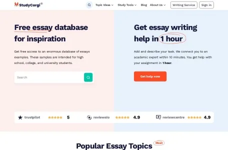 StudyCorgi ChatGPT Detector网页截图,StudyCorgi ChatGPT Detector网页快照