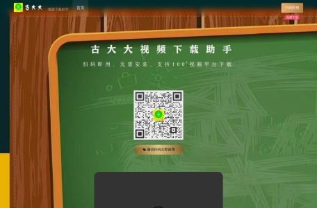 飞鸟视频下载助手网页截图,飞鸟视频下载助手网页快照