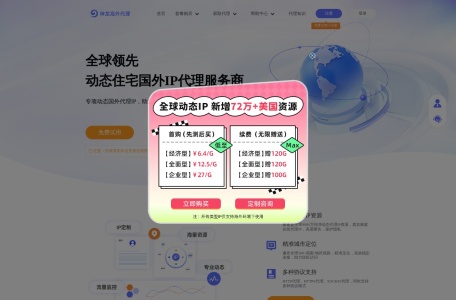 神龙海外代理IP网页截图,神龙海外代理IP网页快照