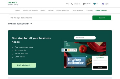 NetworkSolution网页截图,NetworkSolution网页快照