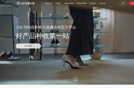 小红书蒲公英网页截图,小红书蒲公英网页快照