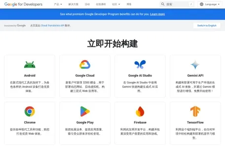 Google Wallet网页截图,Google Wallet网页快照