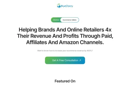 Blue Cherry Group网页截图,Blue Cherry Group网页快照
