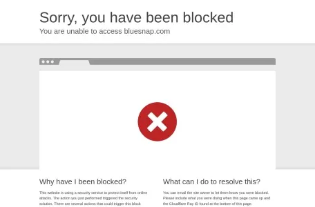 BlueSnap网页截图,BlueSnap网页快照