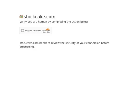 StockCake网页截图,StockCake网页快照