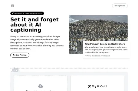 Image Ally网页截图,Image Ally网页快照
