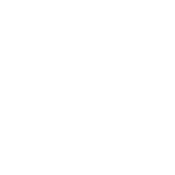 VCut