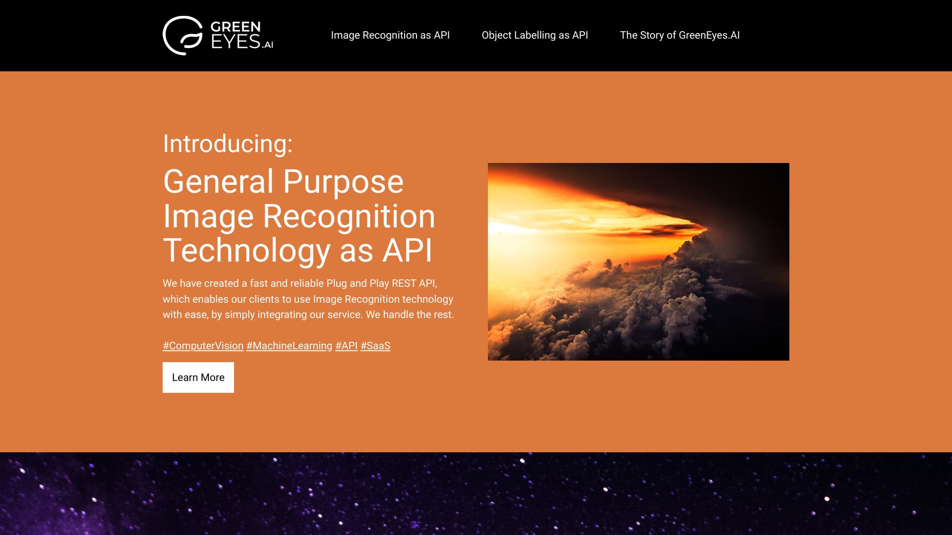 GreenEyes.AI – Image Recog. Tech as API网页截图,GreenEyes.AI – Image Recog. Tech as API网页快照
