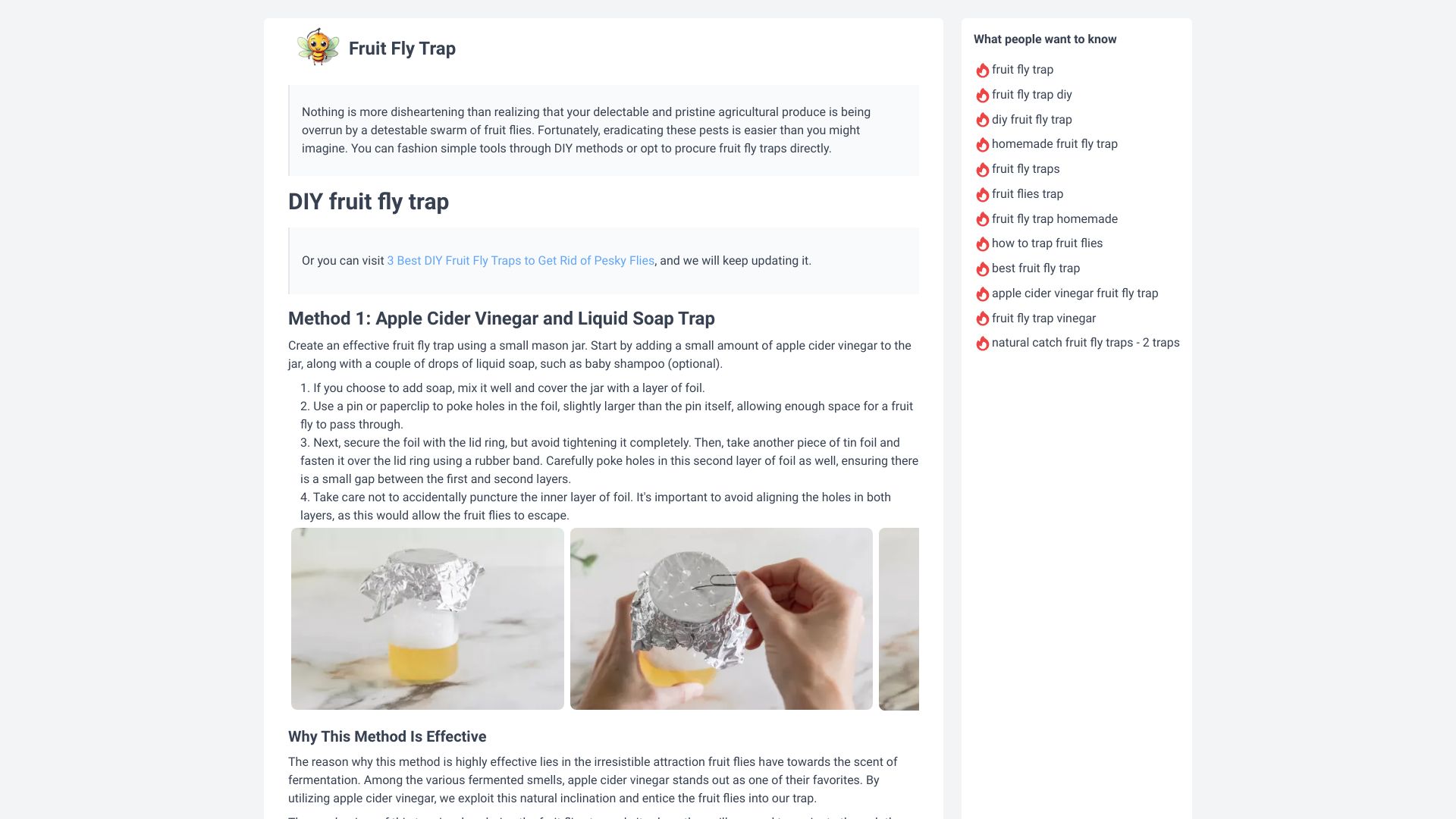 Fruit Fly Trap网页截图,Fruit Fly Trap网页快照