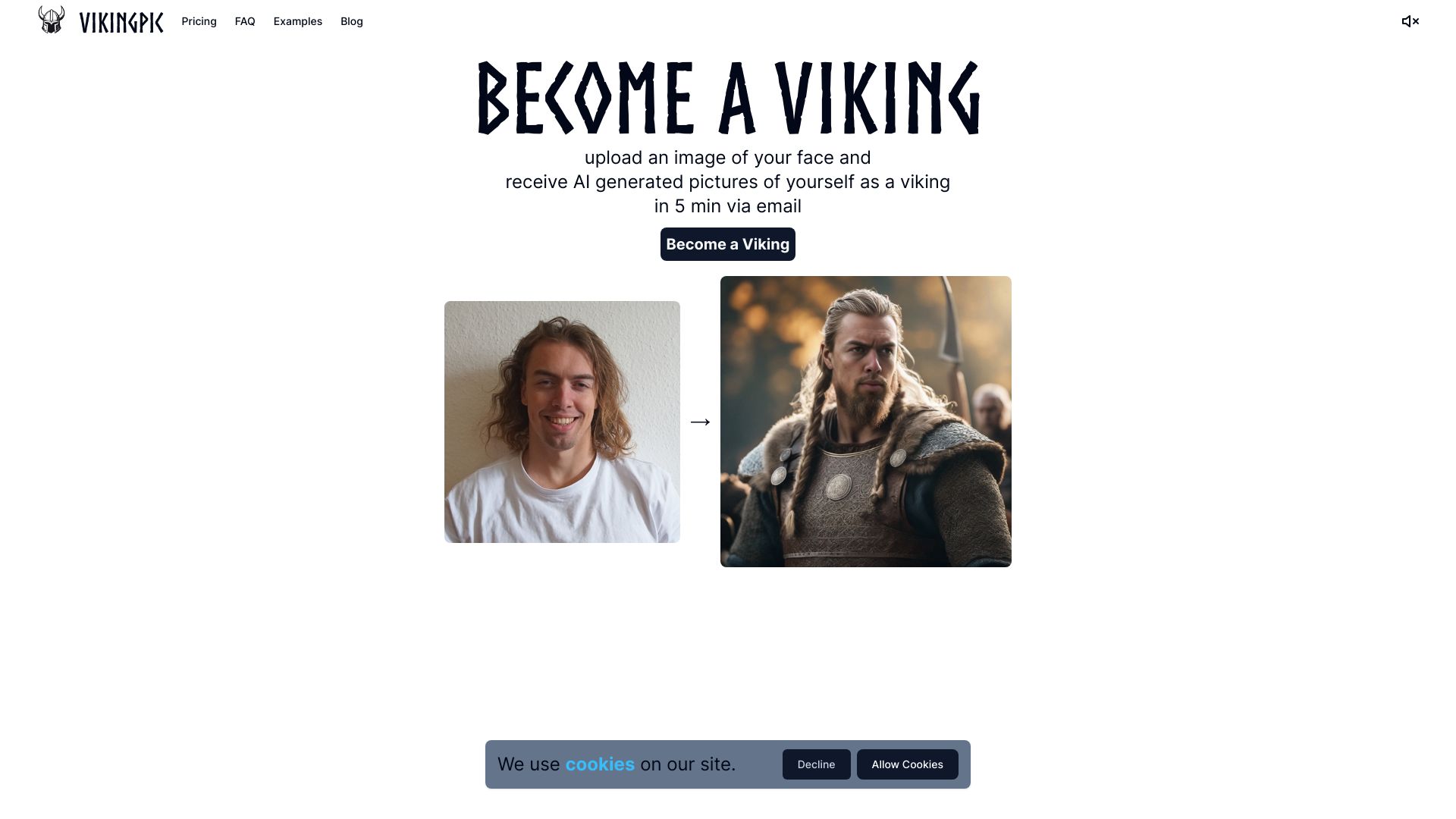 VikingPic网页截图,VikingPic网页快照