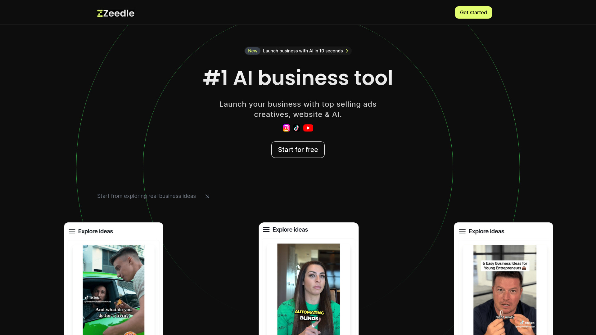 Zeedle AI网页截图,Zeedle AI网页快照