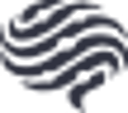 Co-Founder AI