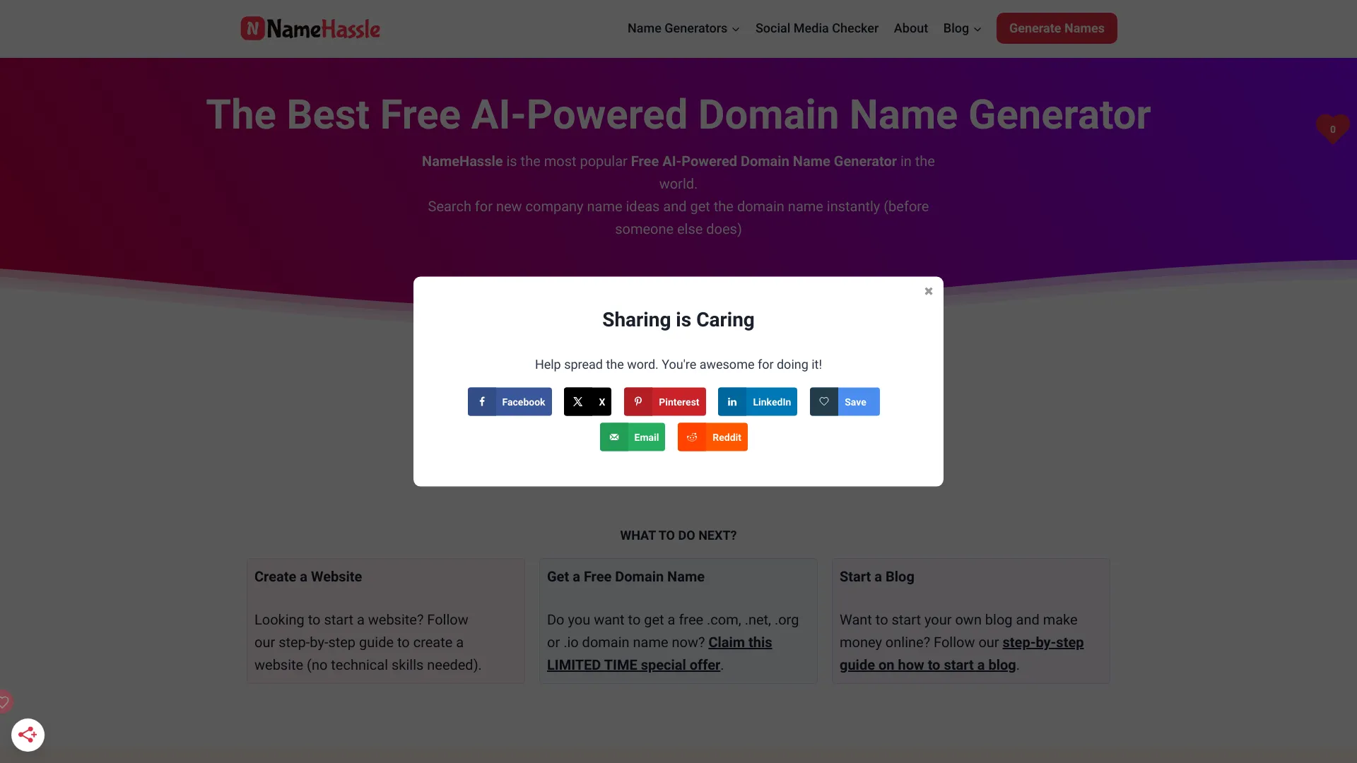 NameHassle网页截图,NameHassle网页快照