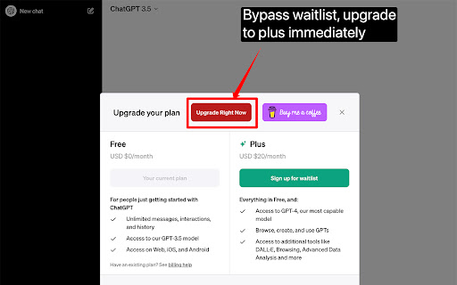 Chatgpt Plus Waitlist Skipper网页截图,Chatgpt Plus Waitlist Skipper网页快照
