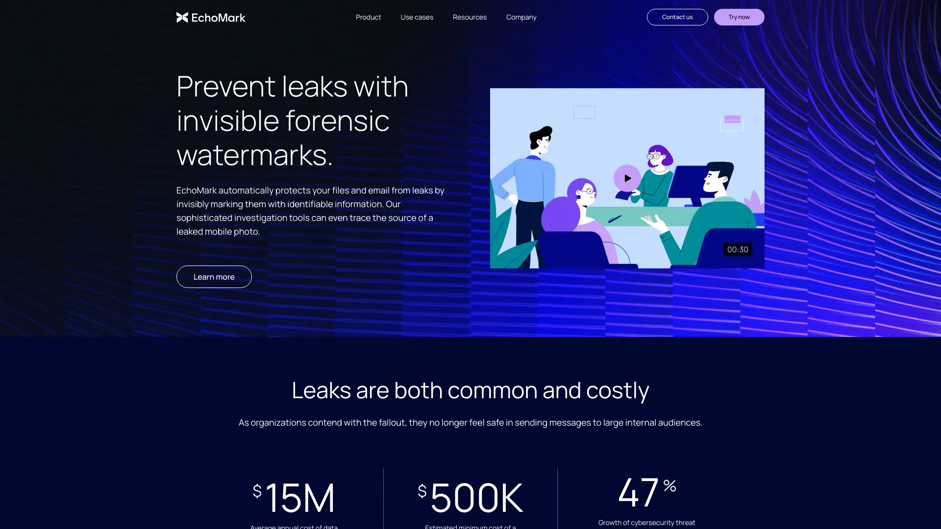 EchoMark网页截图,EchoMark网页快照