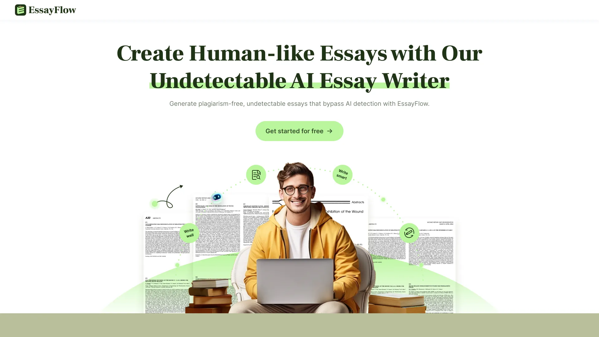 EssayFlow网页截图,EssayFlow网页快照