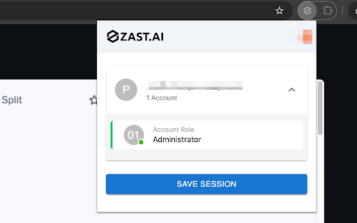 ZAST.AI Helper网页截图,ZAST.AI Helper网页快照
