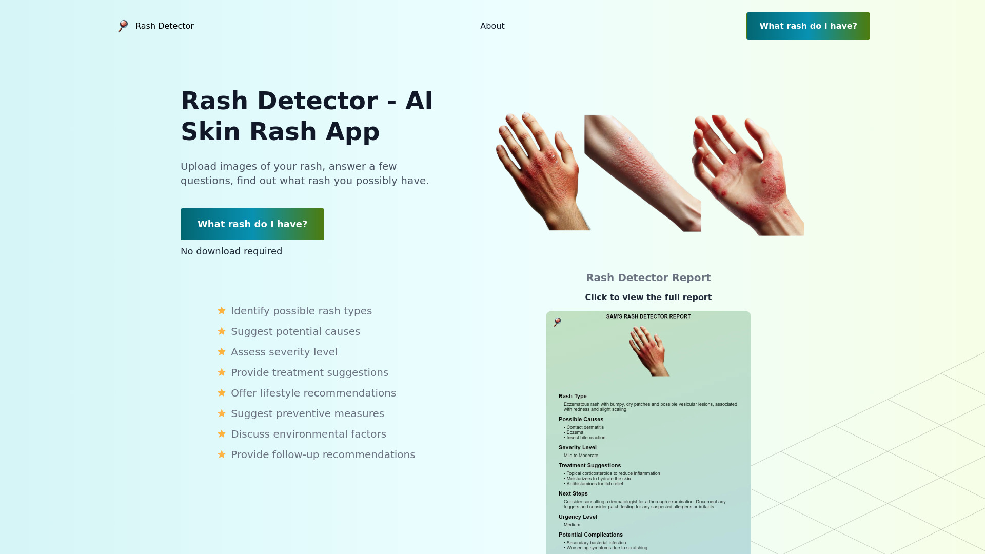 Rash Detector网页截图,Rash Detector网页快照
