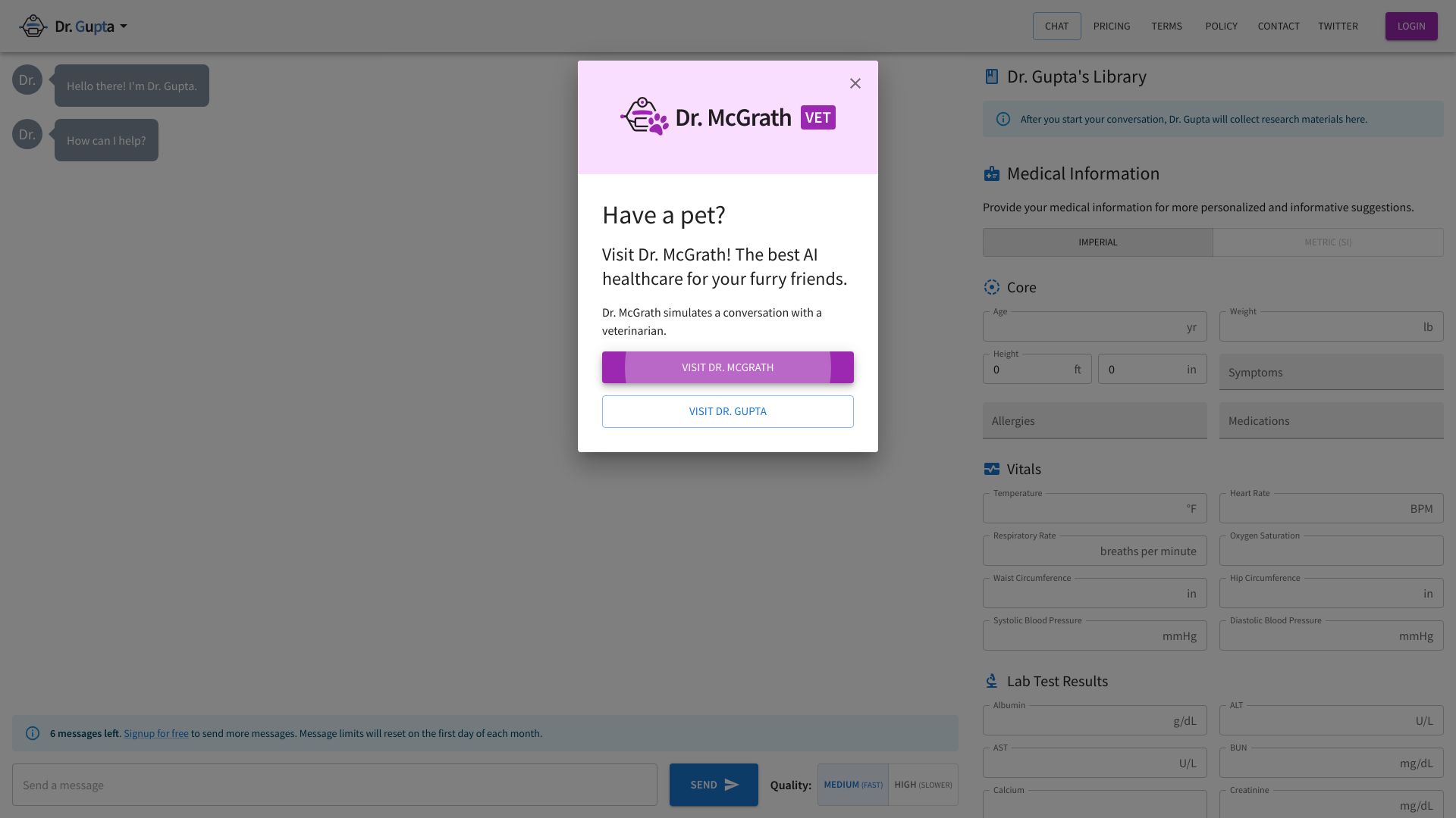 Dr. Gupta: AI Physician Chatbot网页截图,Dr. Gupta: AI Physician Chatbot网页快照