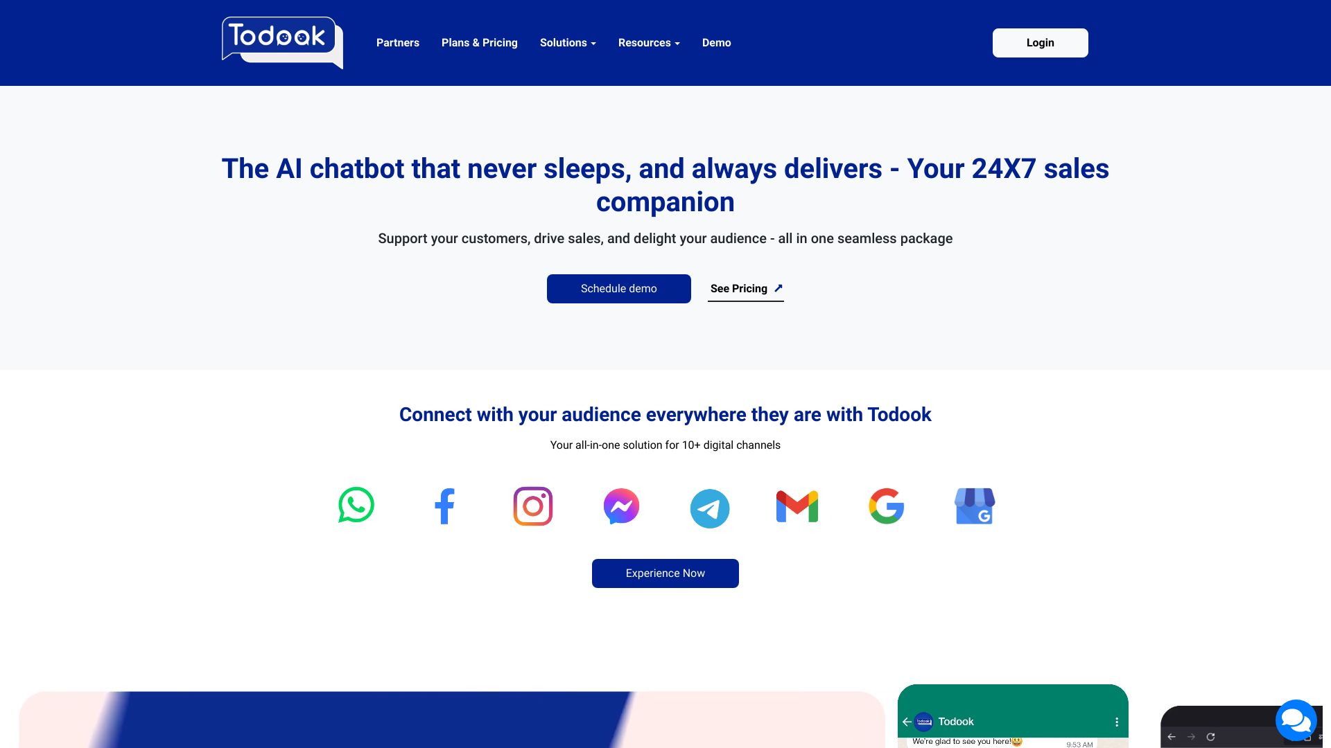 Todook Bot网页截图,Todook Bot网页快照