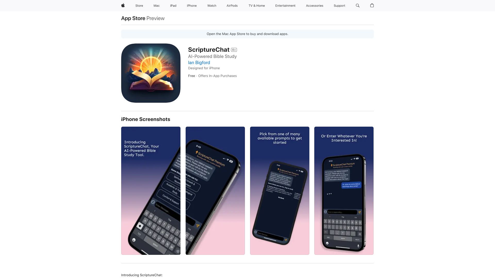 ScriptureChat网页截图,ScriptureChat网页快照