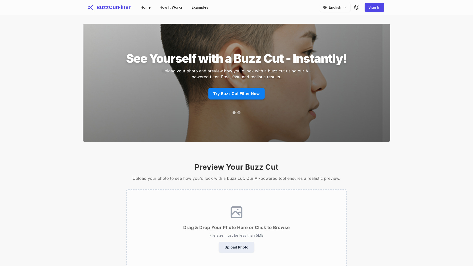 Buzz Cut Filter网页截图,Buzz Cut Filter网页快照