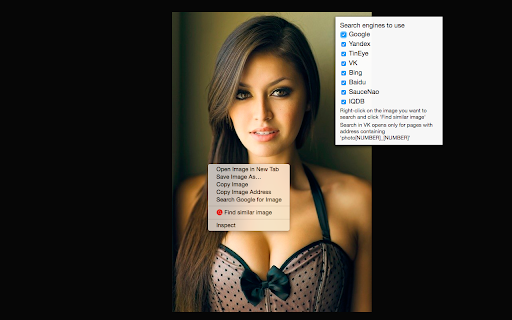 Image Search网页截图,Image Search网页快照