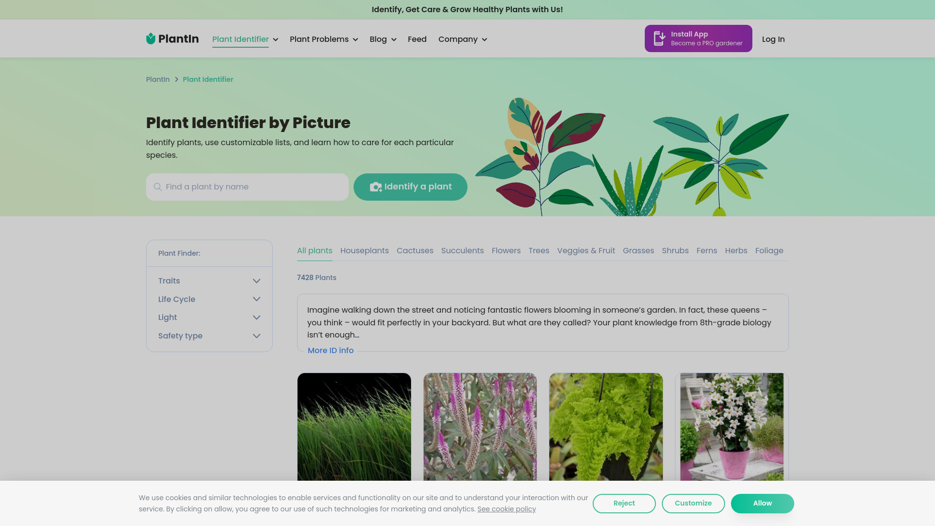 PlantIn plant care identifier网页截图,PlantIn plant care identifier网页快照