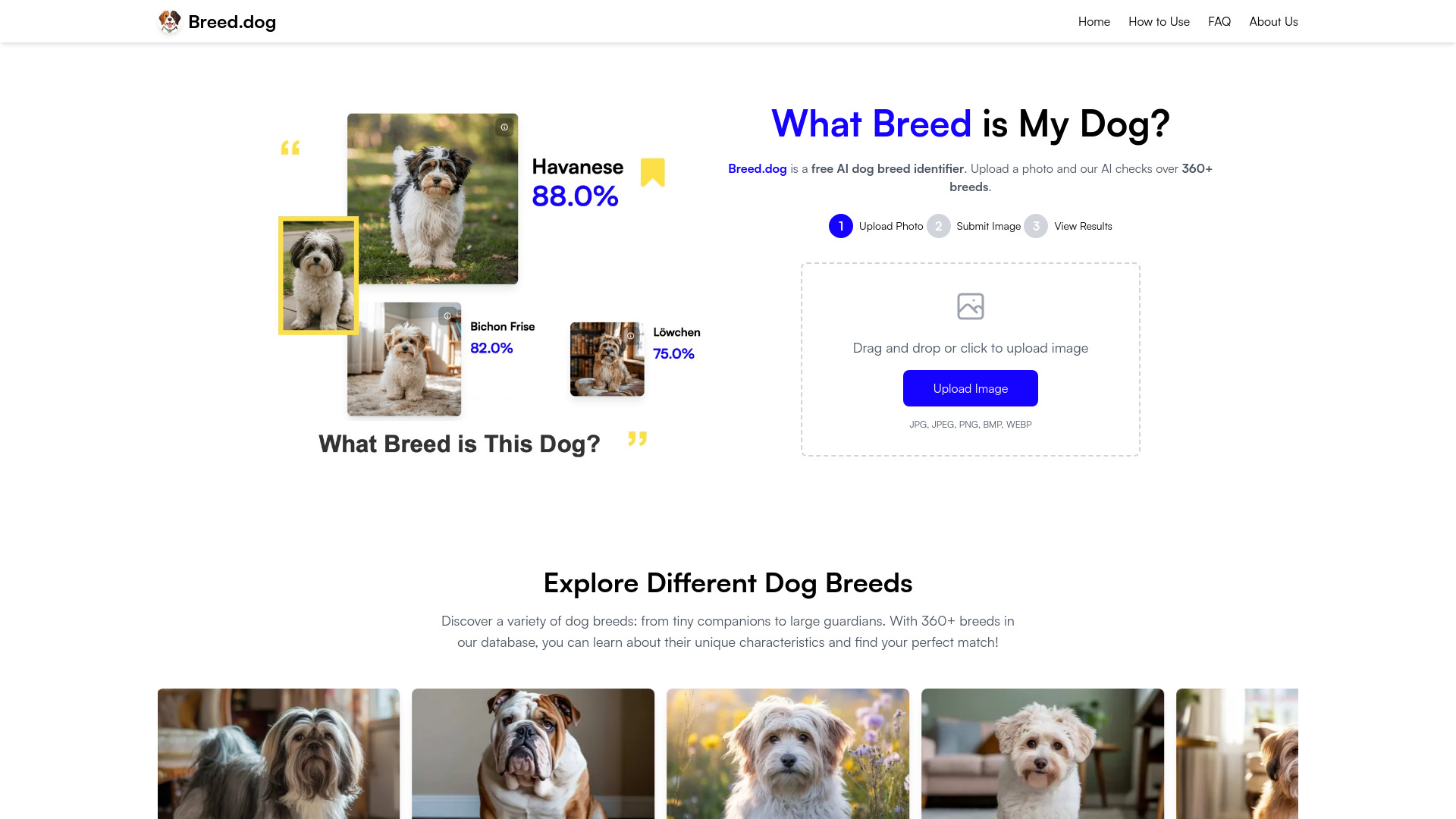 Breed.dog – AI Dog Breed Identifier网页截图,Breed.dog – AI Dog Breed Identifier网页快照