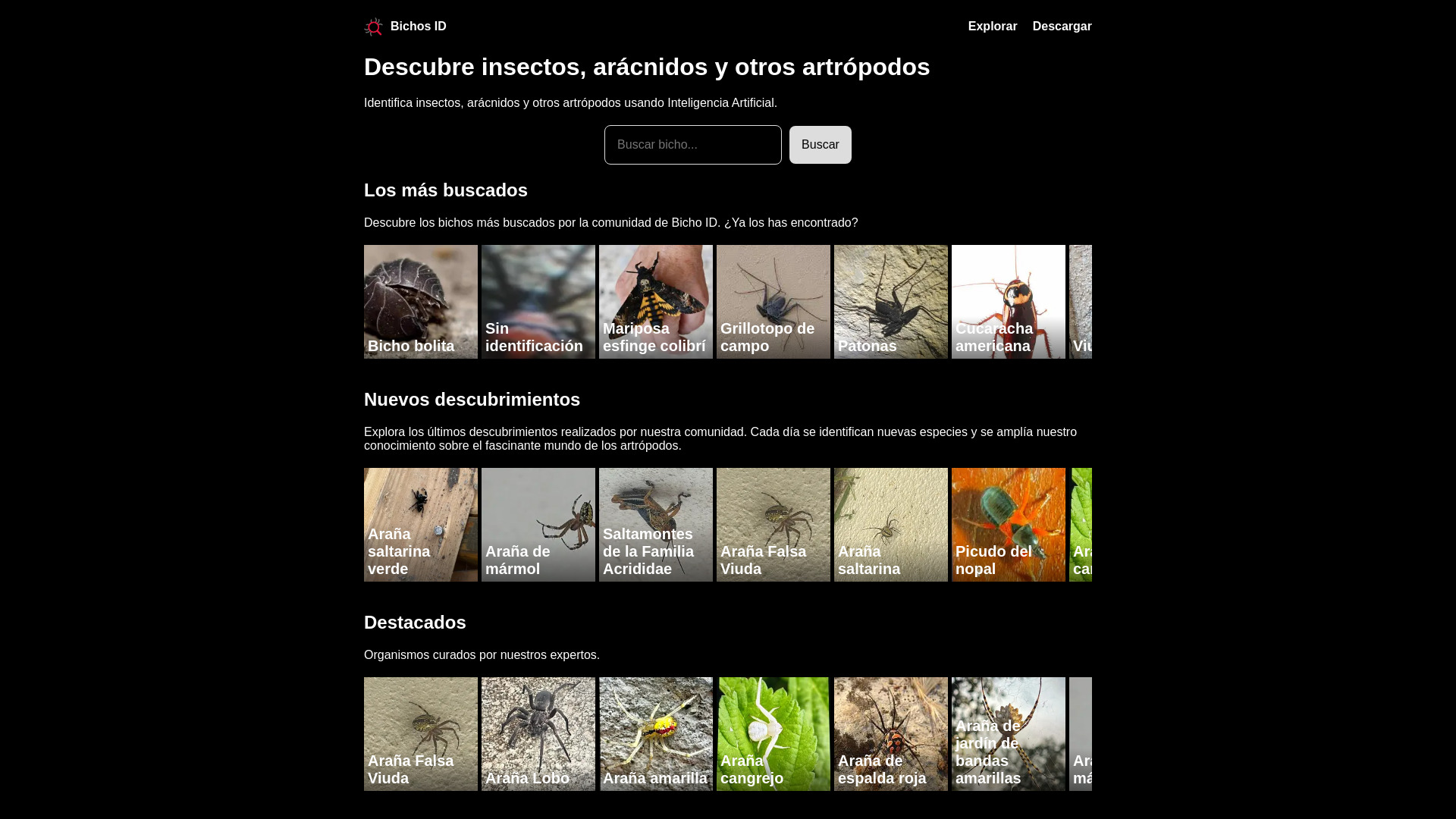 Bichos ID de Fucesa网页截图,Bichos ID de Fucesa网页快照