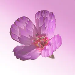 CrossPrism Nature