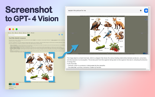 GPT-4 Vision Screenshot网页截图,GPT-4 Vision Screenshot网页快照
