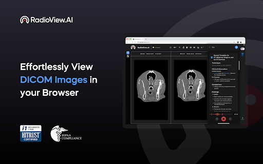 RadioView.AI网页截图,RadioView.AI网页快照