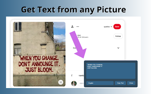 Pic to Text网页截图,Pic to Text网页快照