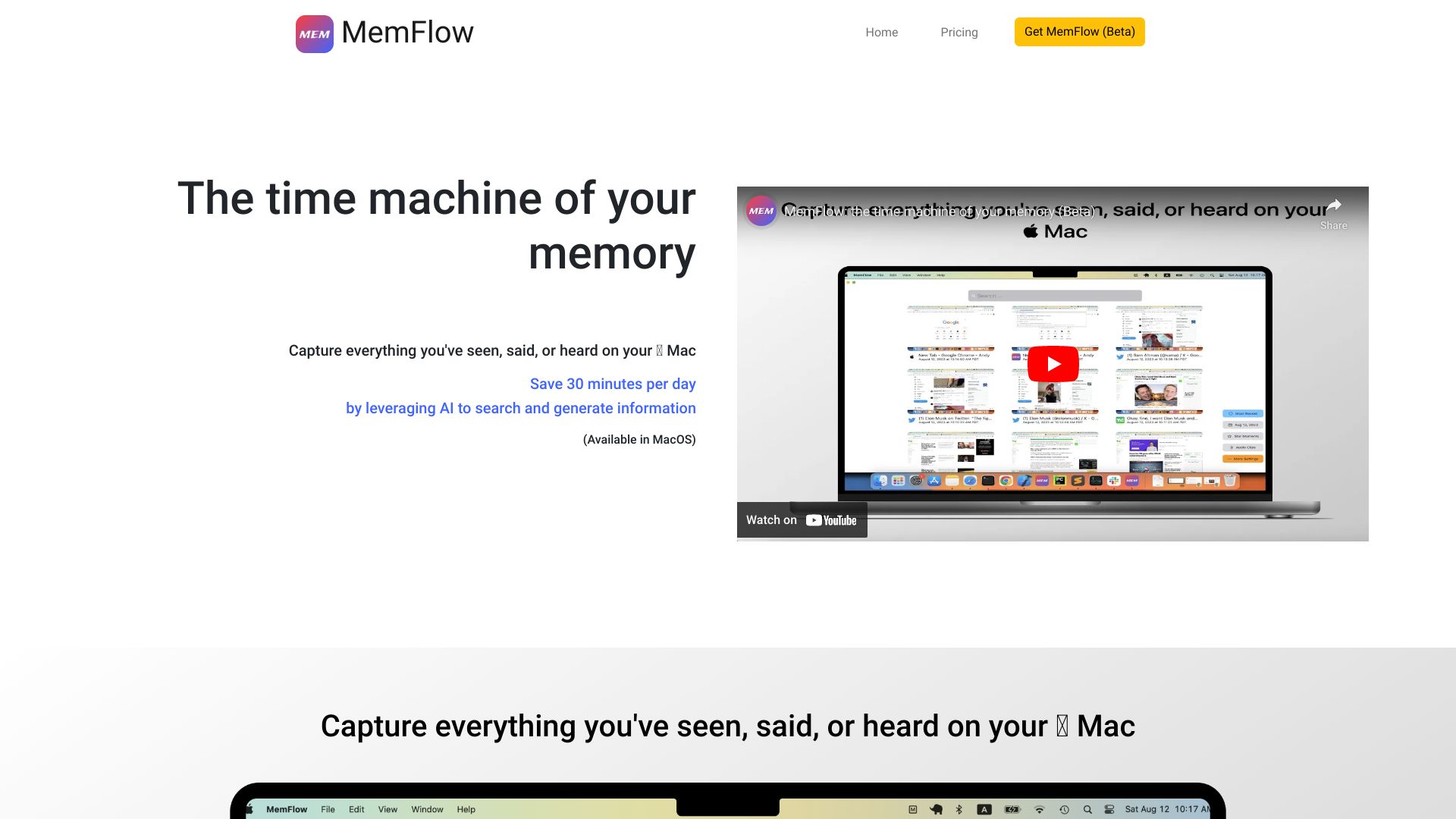 MemFlow网页截图,MemFlow网页快照