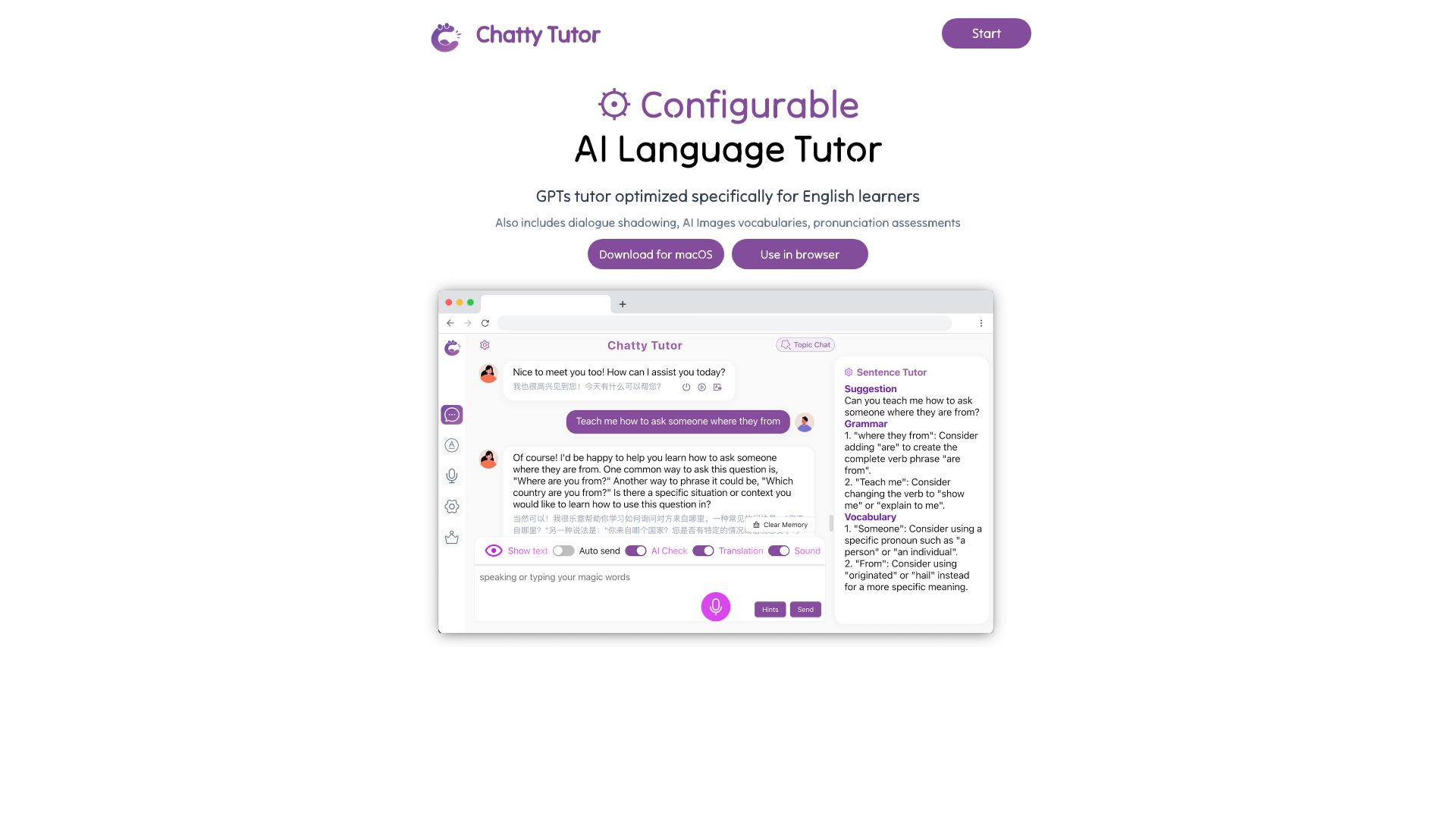 Chatty Tutor网页截图,Chatty Tutor网页快照