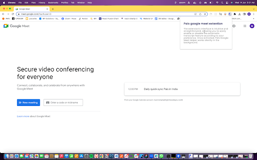 Pals Google Meet Helper网页截图,Pals Google Meet Helper网页快照