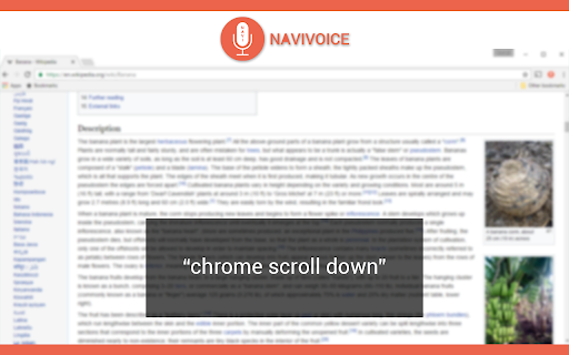 NaviVoice: Voice Input Productivity Assistant网页截图,NaviVoice: Voice Input Productivity Assistant网页快照