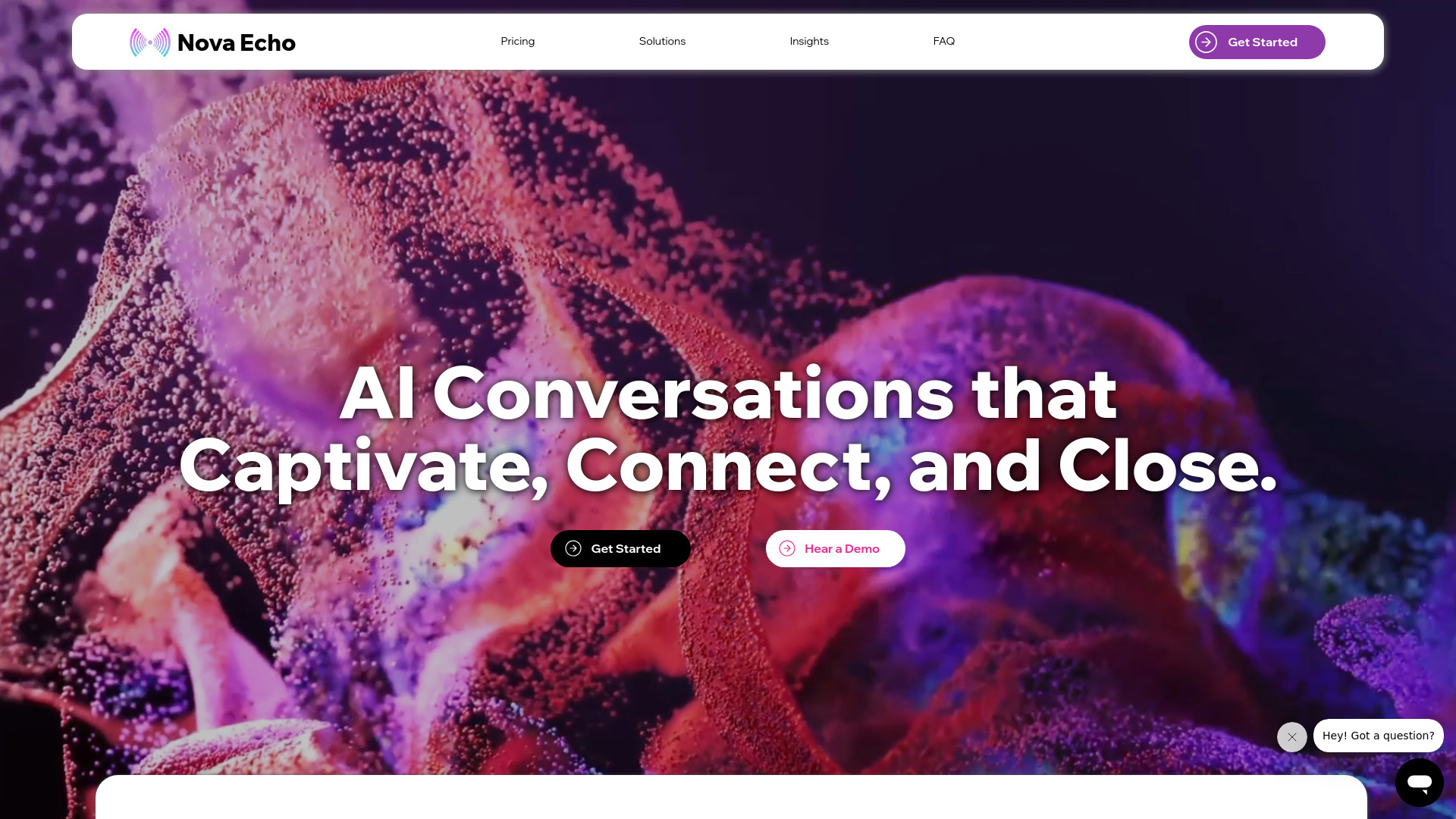 Nova Echo AI网页截图,Nova Echo AI网页快照
