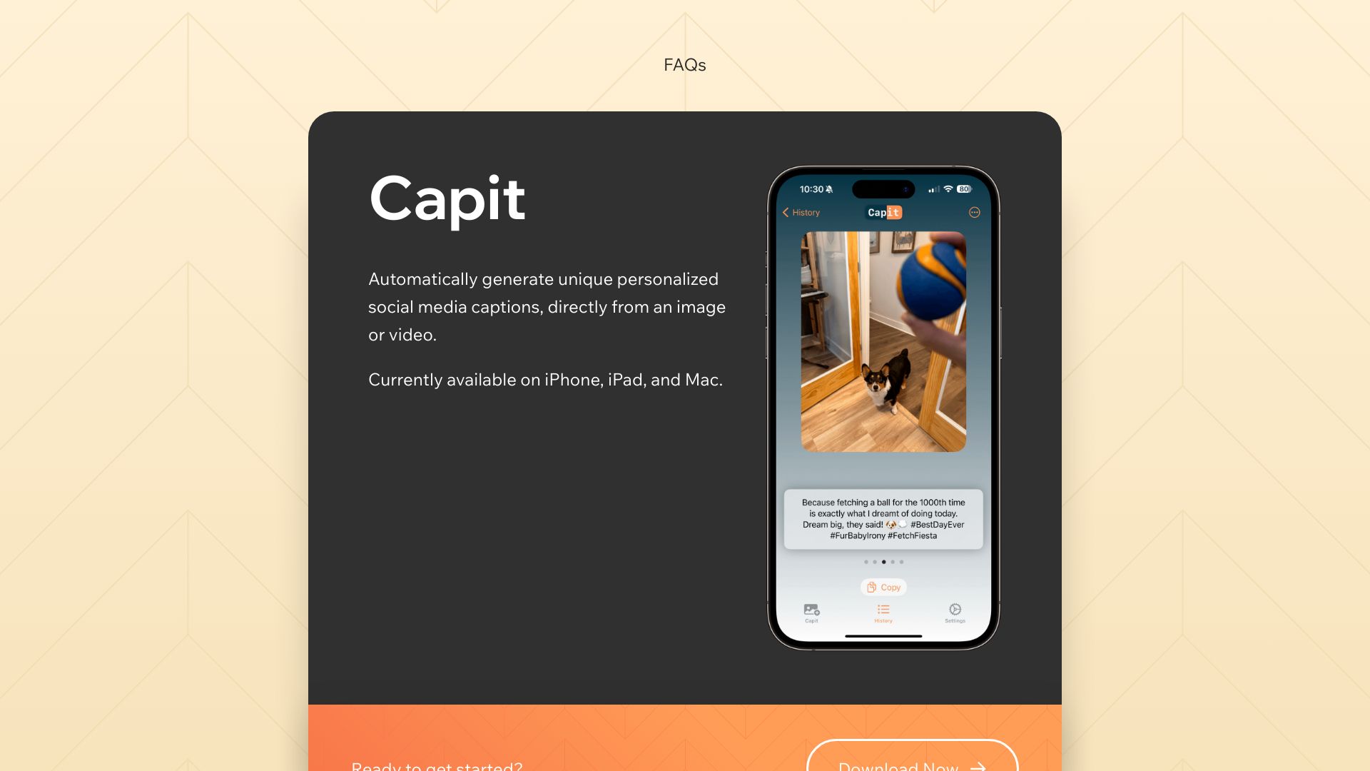 Capit网页截图,Capit网页快照