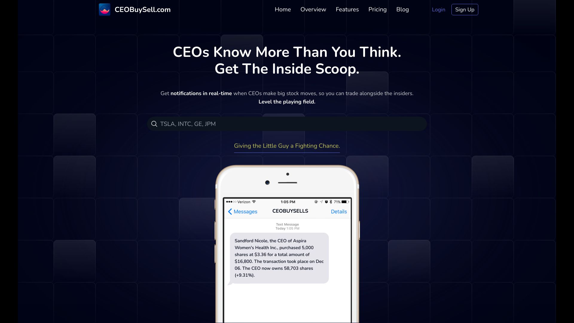 CEOBuySell.com网页截图,CEOBuySell.com网页快照