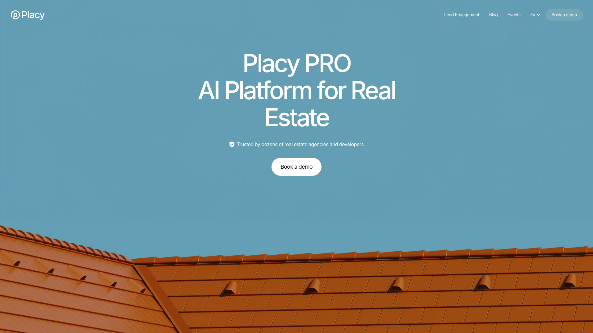 Placy AI网页截图,Placy AI网页快照