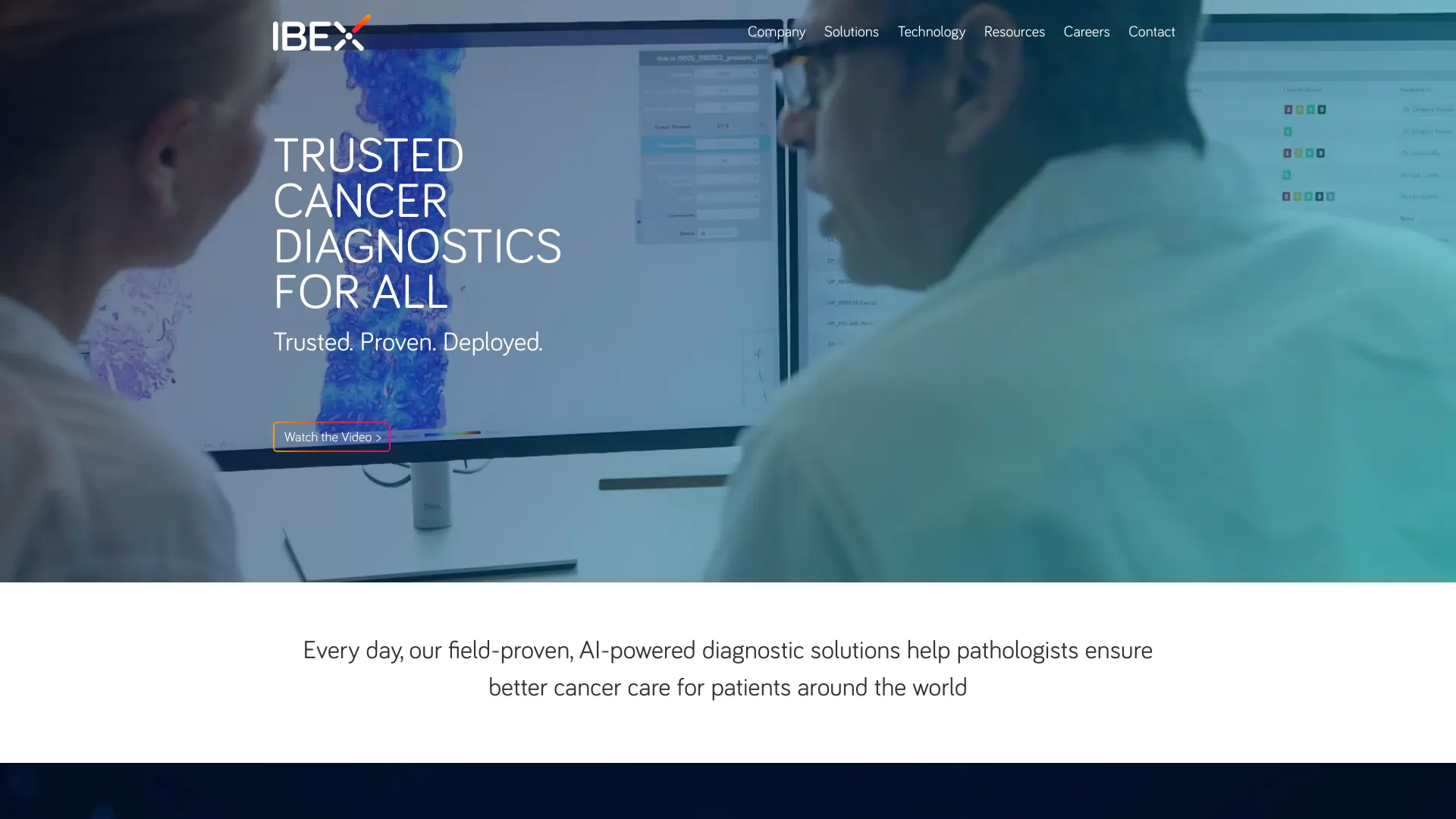 ibex-ai.com网页截图,ibex-ai.com网页快照