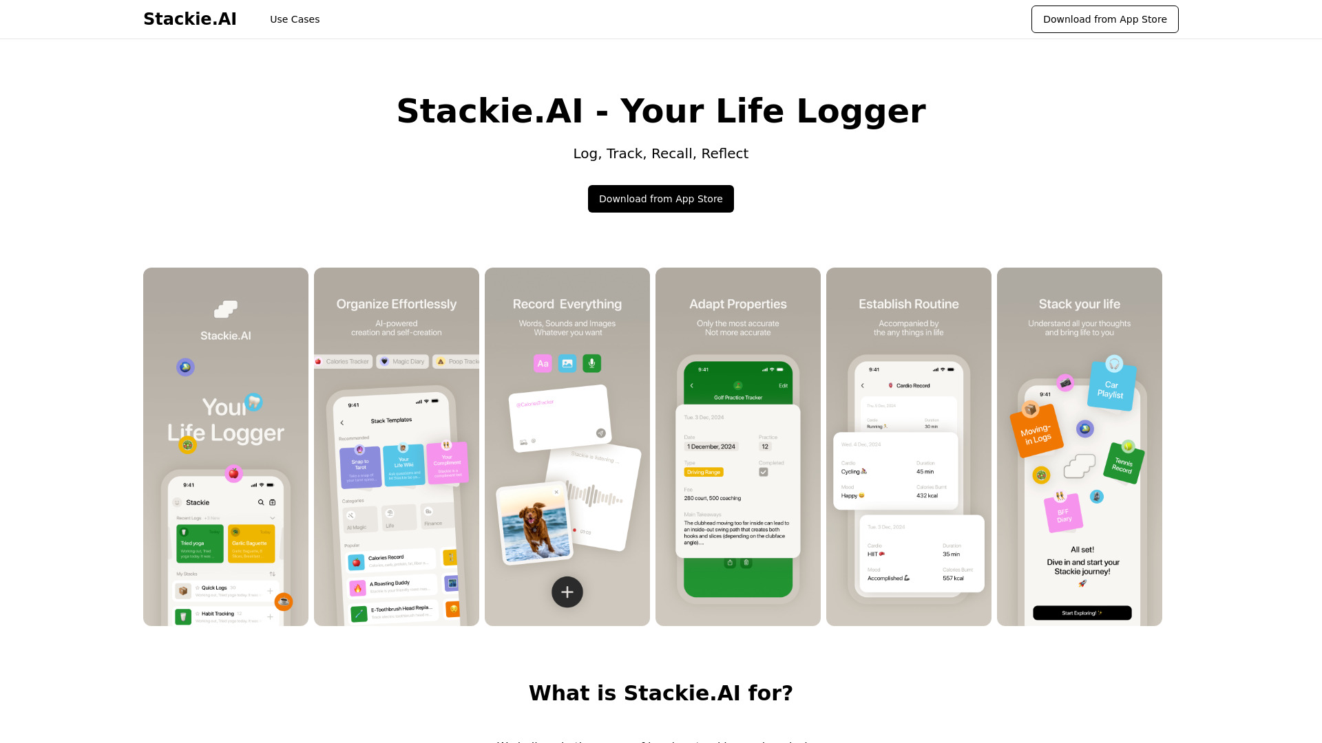 Stackie.AI Your Life Logger网页截图,Stackie.AI Your Life Logger网页快照