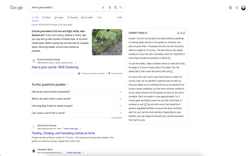 ChatGPT Online for Google网页截图,ChatGPT Online for Google网页快照
