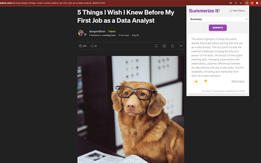 Easy Summaries网页截图,Easy Summaries网页快照