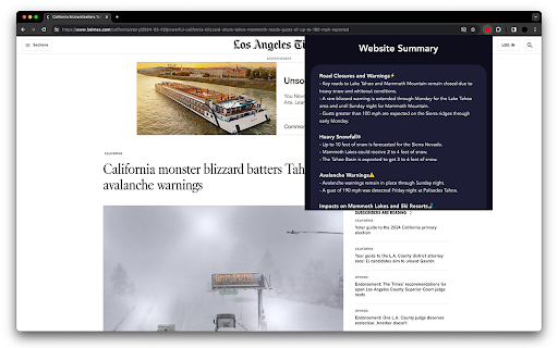Website Summarizer网页截图,Website Summarizer网页快照