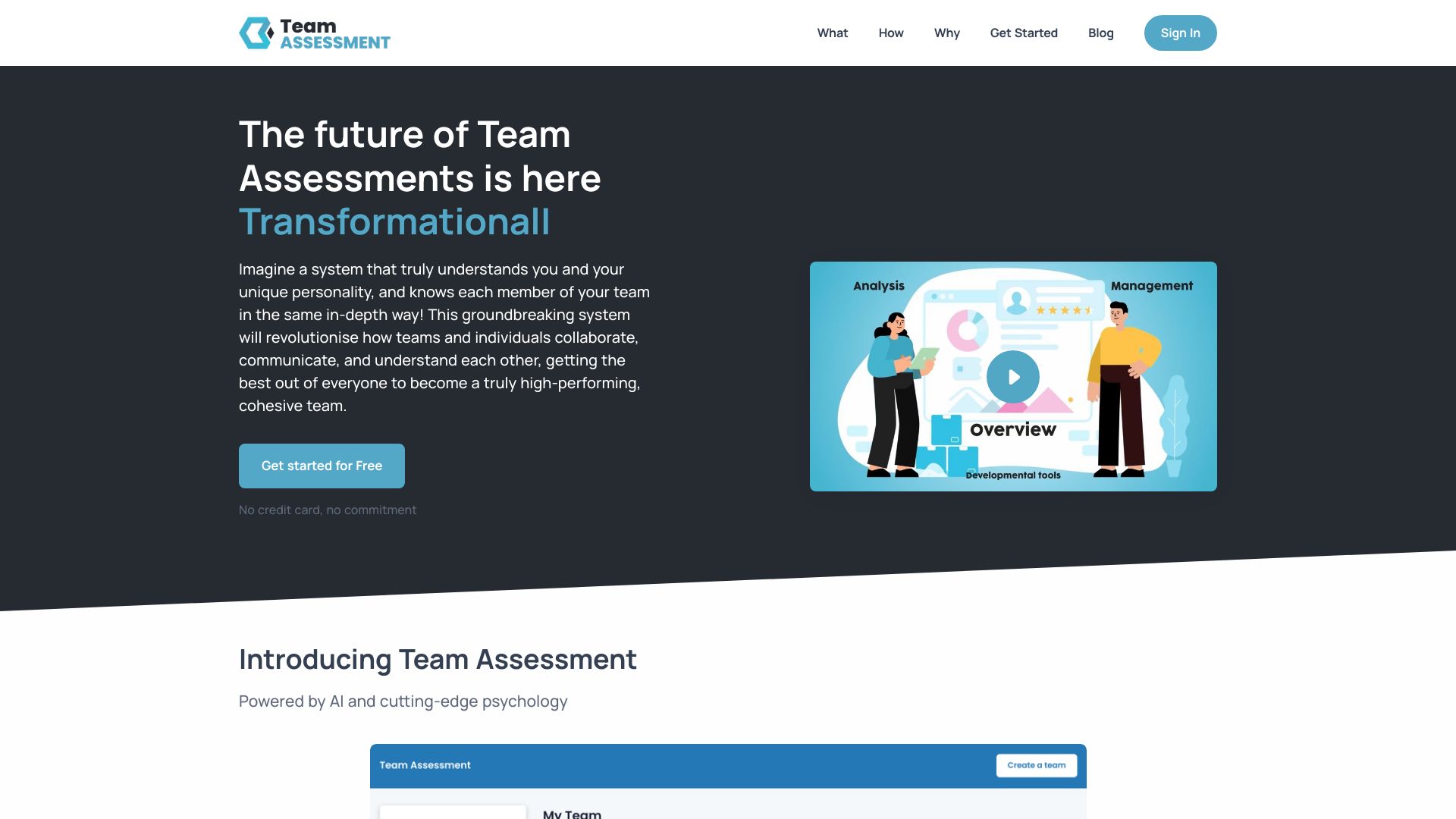 Team Assessment网页截图,Team Assessment网页快照