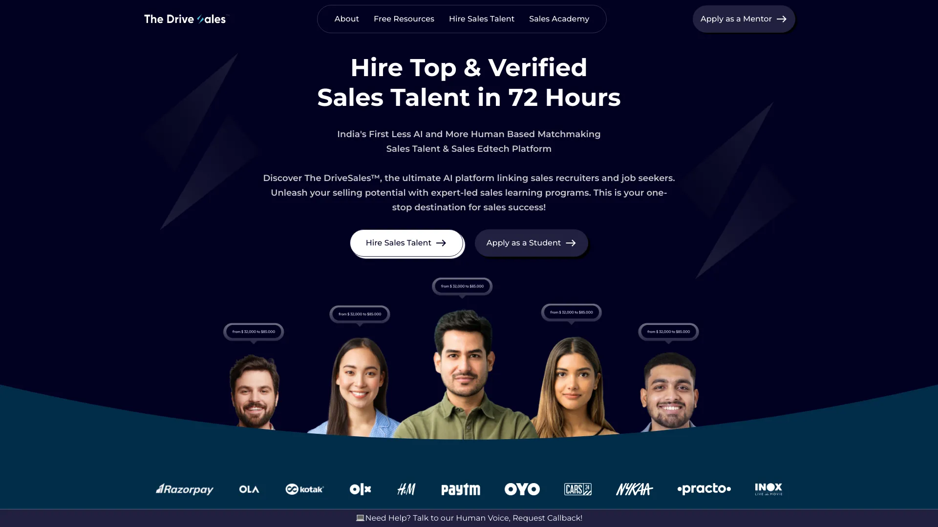 The DriveSales™网页截图,The DriveSales™网页快照